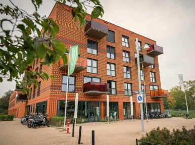 Wijkwerken Beijum